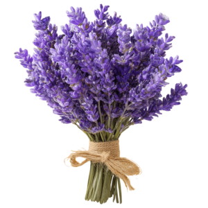 bouquet lavande